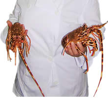 produzioni gastronomiche